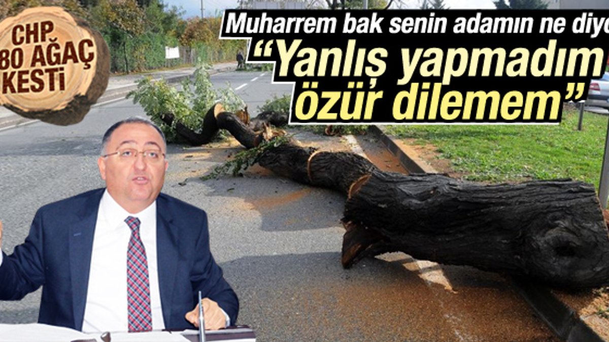 Ağaç kesen CHP'li Vefa Salman özür dilemeyecek