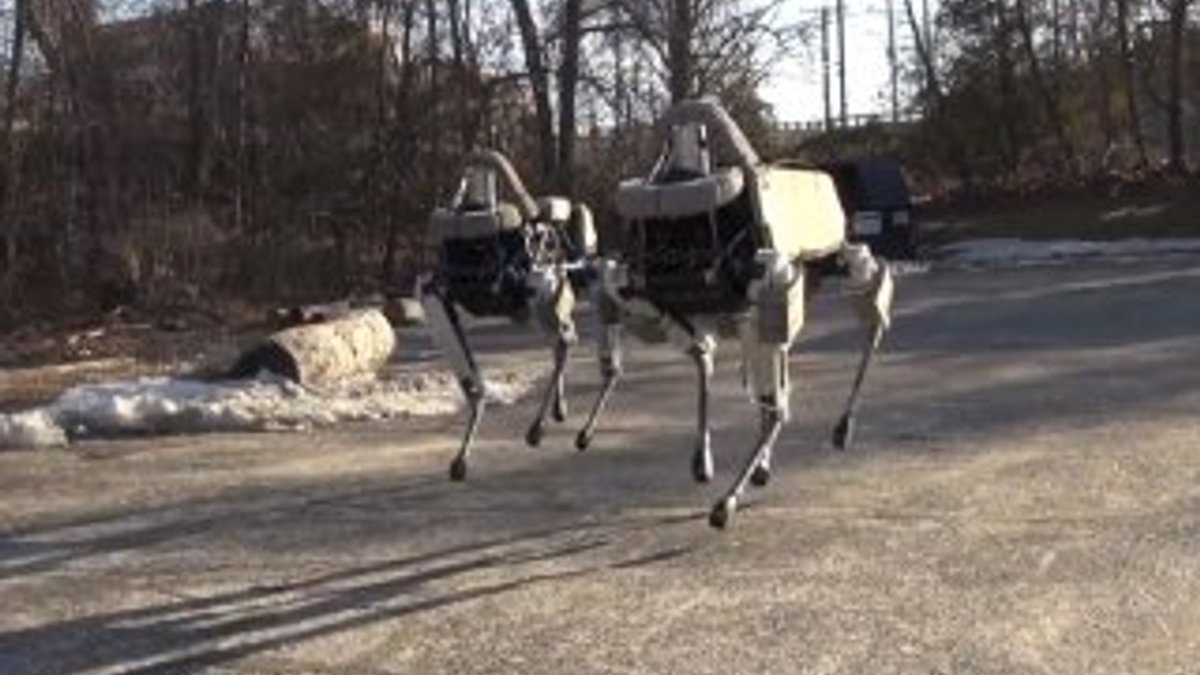 Amerika'da robot köpekler tanıtıldı