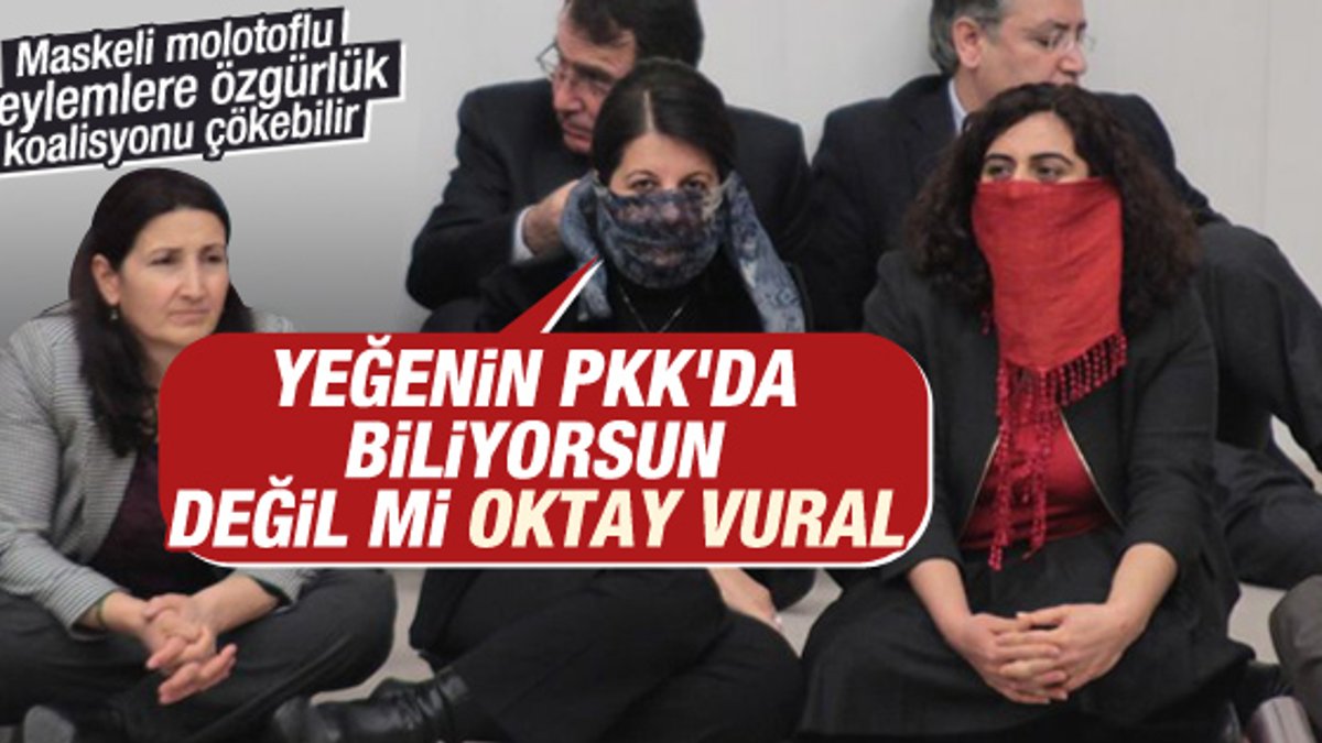 HDP'li vekilden Oktay Vural'ı kızdıracak PKK çıkışı