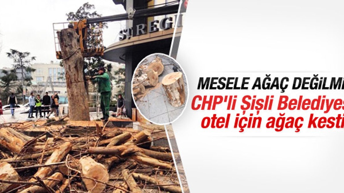 CHP'li Şişli Belediyesi otel için ağaç kesti