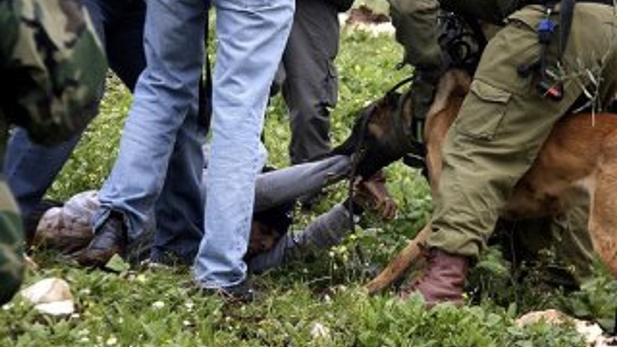 İsrail askerlerinden Filistinli çocuğa köpekli işkence