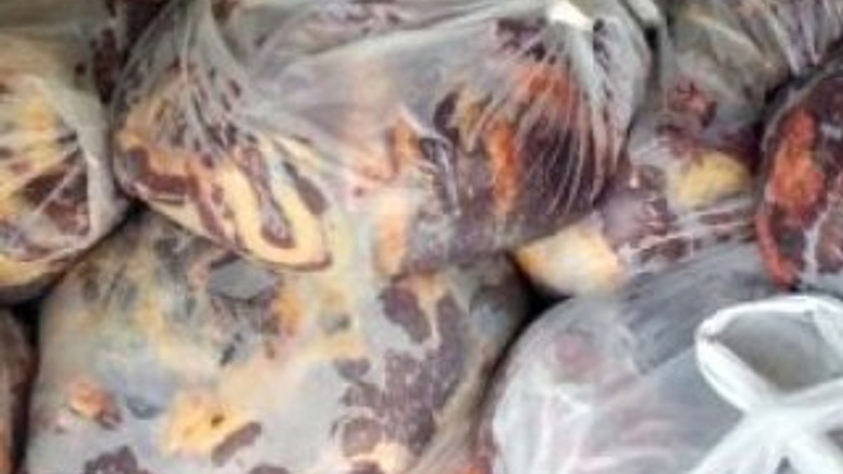 Adana'da at eti satan şahıs para cezasıyla serbest kaldı