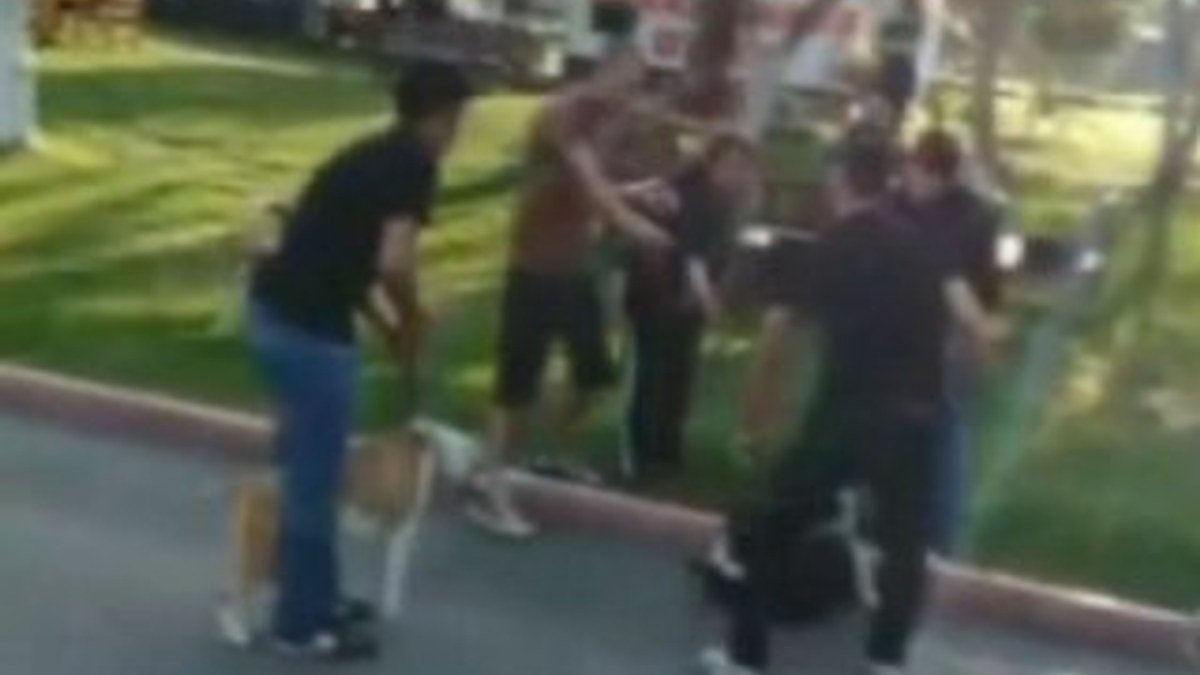 Adana'da pitbull sokak köpeğine saldırdı
