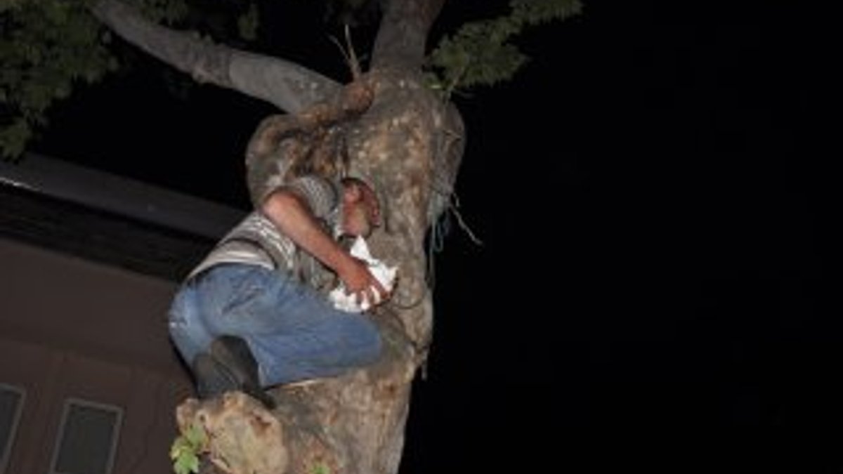 Bursa'da eylem için ağaca çıkan adam yere düştü