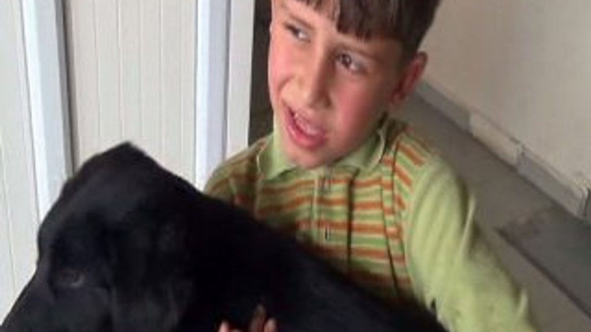 Yozgatlı çocuk acı çeken köpeği acil servise götürdü