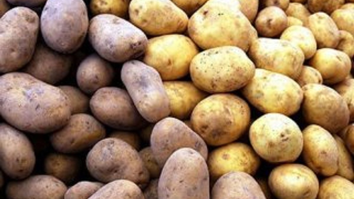 Kilosu 5 liraya çıkan patates İran'dan ithal edilecek