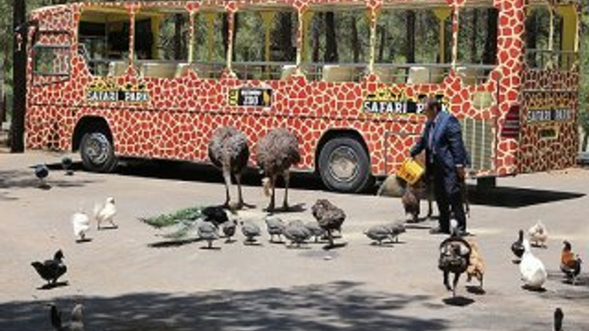 Türkiye'nin ilk safari parkına büyük ilgi gösterildi