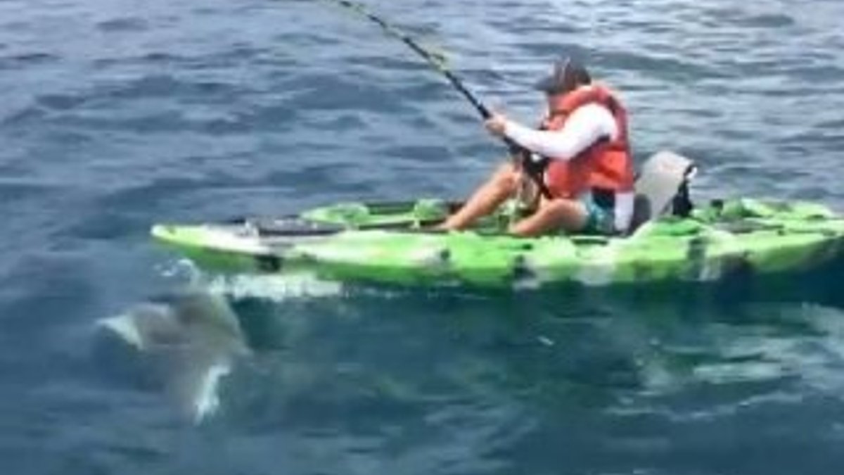 ABD'li kaptan köpek balığı avlarken denize düştü
