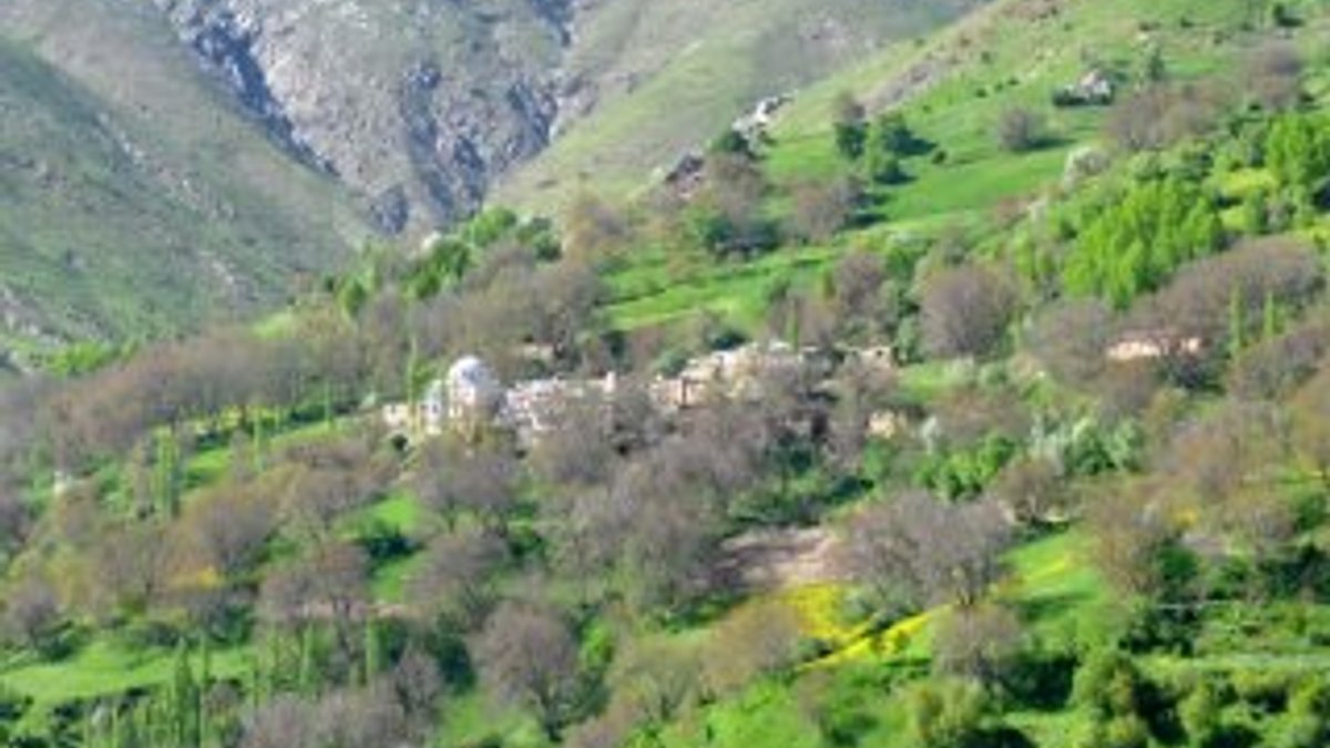 Bitlis'in en titiz köyü: Çayır