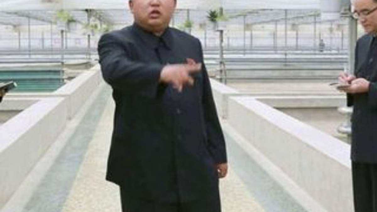 Kim Jong'un çiftlik müdürünü infaz ettirdiği iddiası