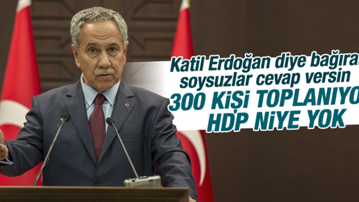 Arınç: Suruç'ta 300 kişi toplanıyor HDP yok