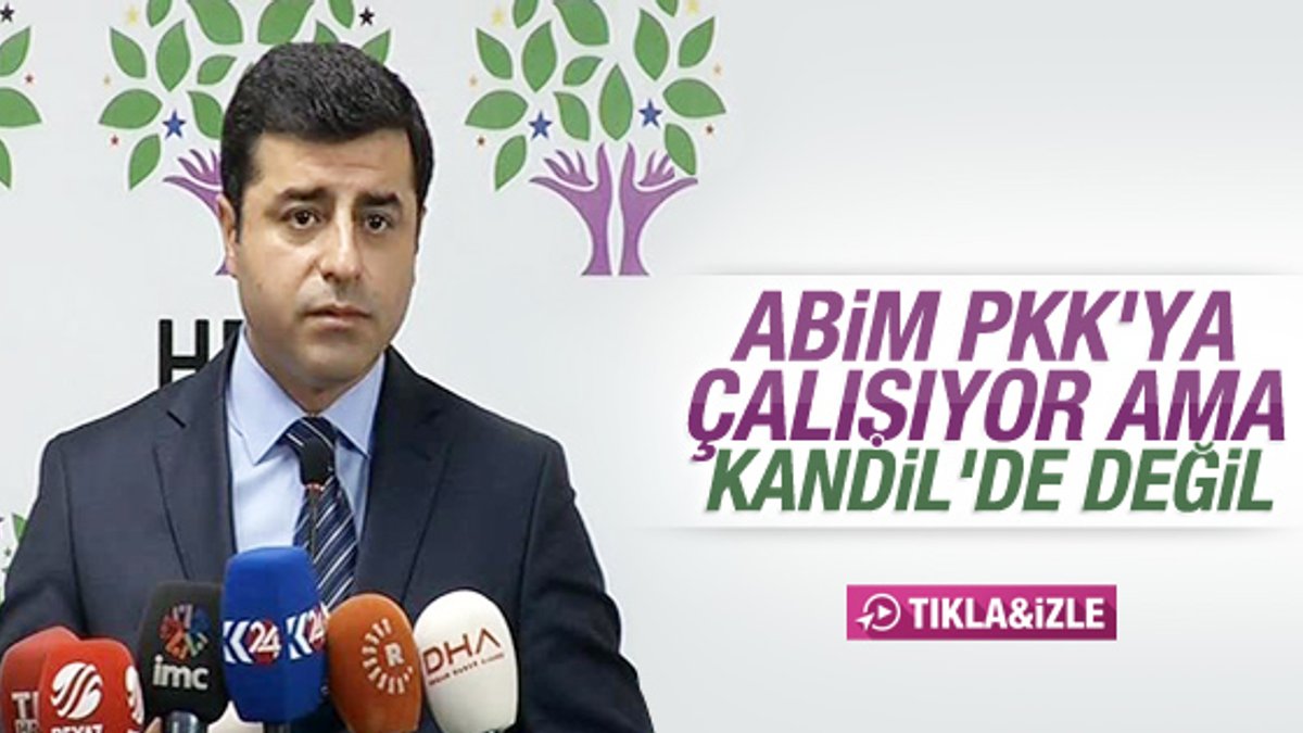 Selahattin Demirtaş: Abim Kandil'de değil