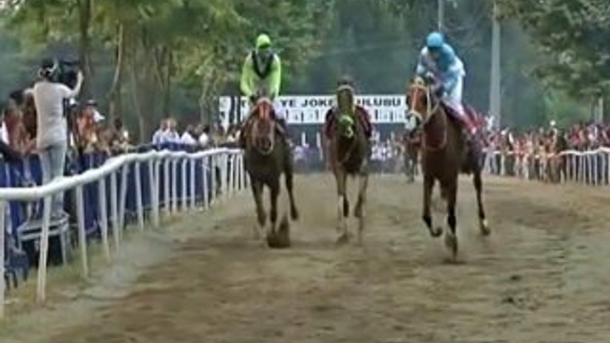 Sapanca'daki yarışlarda bir at jokeysiz yarıştı