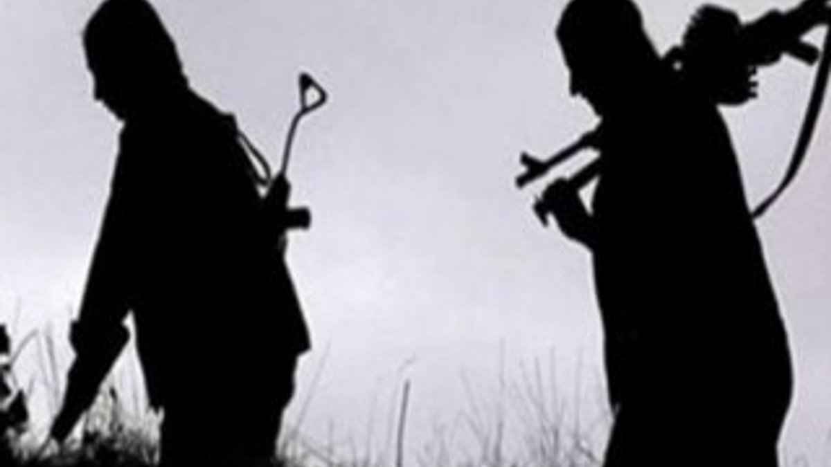 Bingöl'de 2 terörist öldürüldü