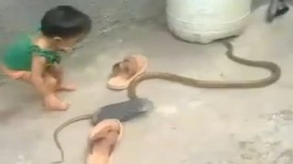 Yılanla oynayan küçük kız