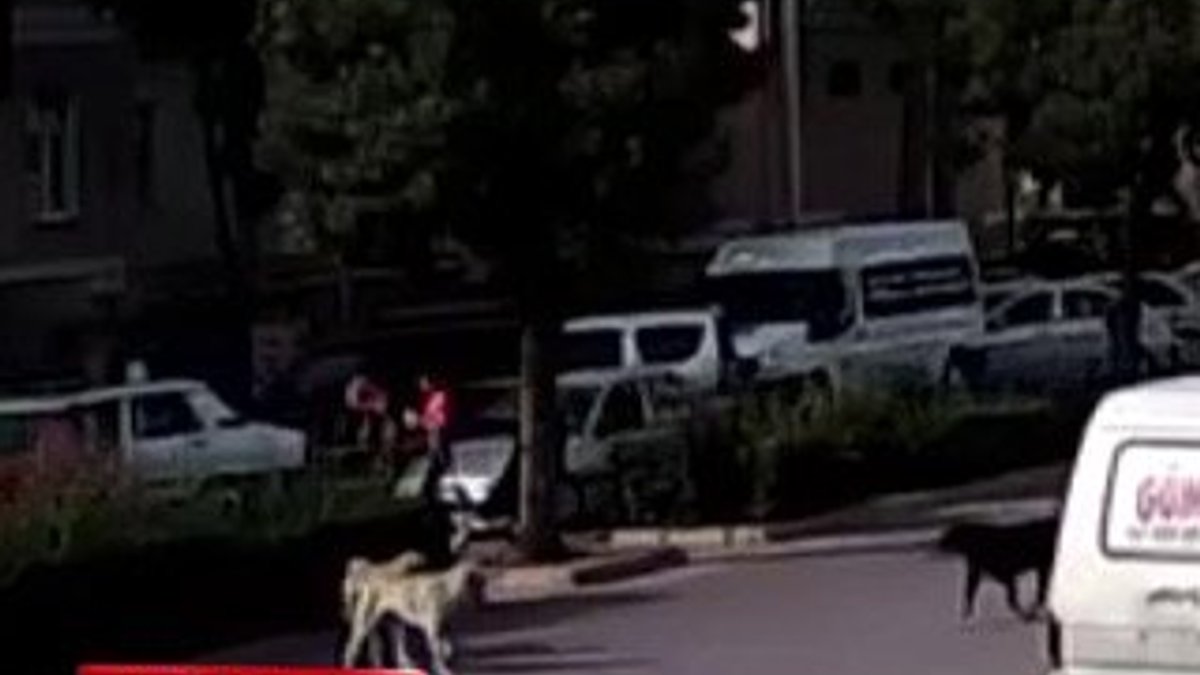 Konya'da köpekten kaçan kızlara otomobil çarptı İZLE