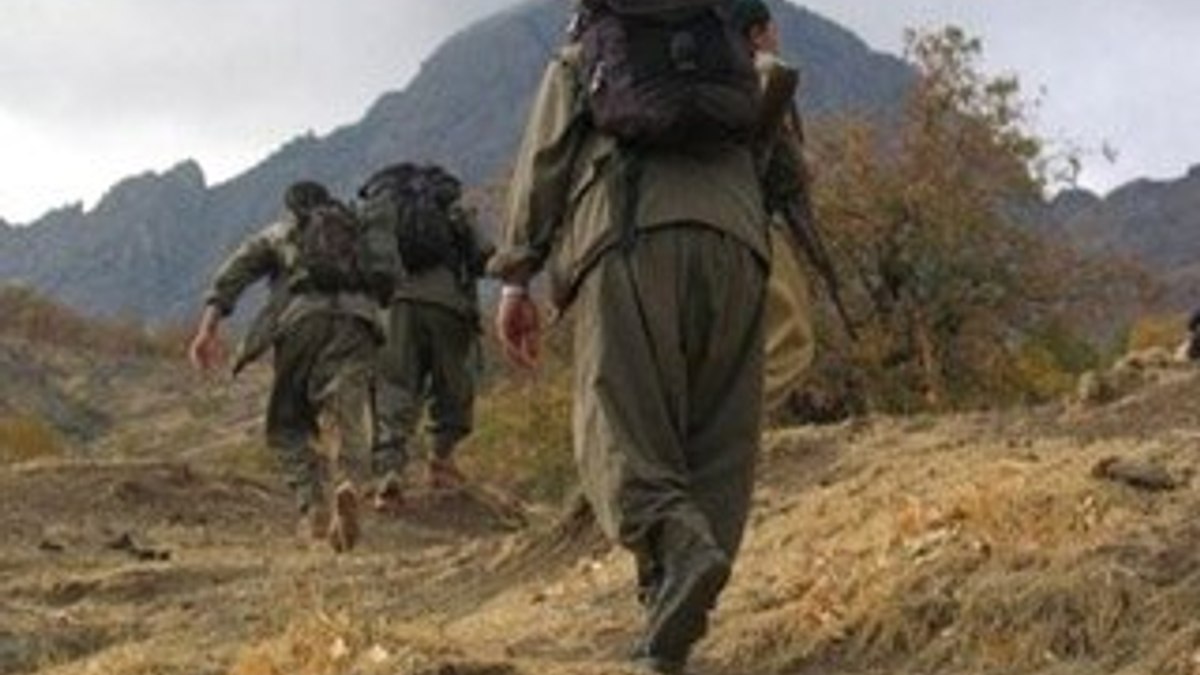 Bitlis'te 8 terörist öldürüldü