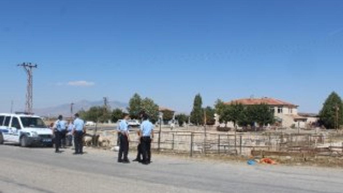 Karaman'da kurban pazarında kavga: 5 yaralı