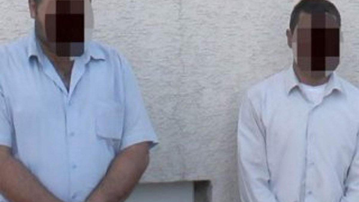 Iğdır'da eşeğe tecavüz eden 2 kişi yakalandı
