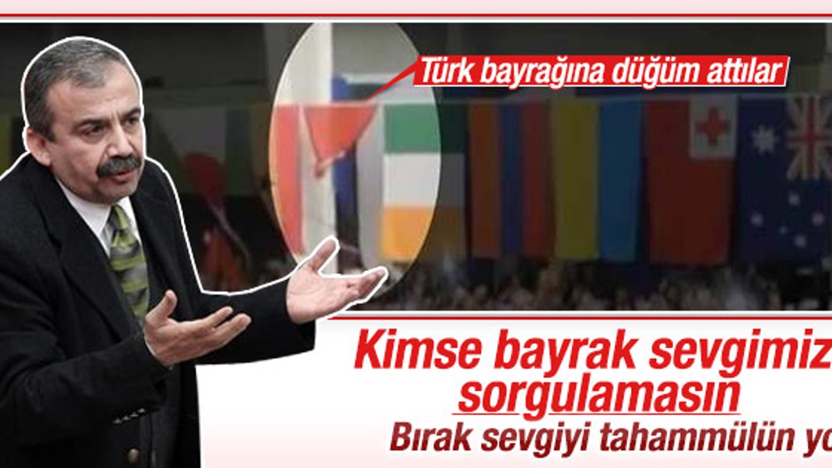 Sırrı Süreyya Önder'den Türk bayrağı cevabı