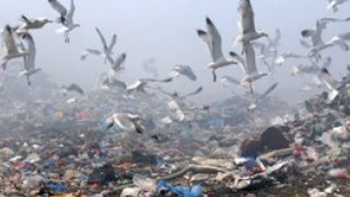 3. Havalimanı’nda kuşları çeken çöp alanı taşınacak
