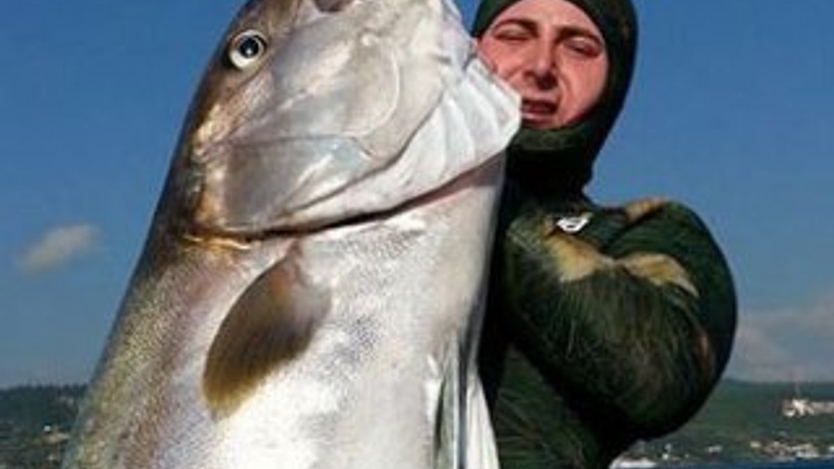 Çanakkale'de 50 kiloluk balık yakalandı