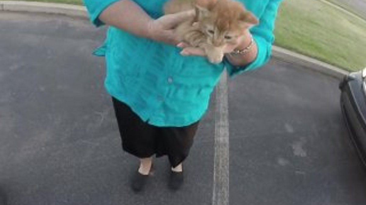 Trafikte yol ortasında kalan kediyi kurtaran kadın