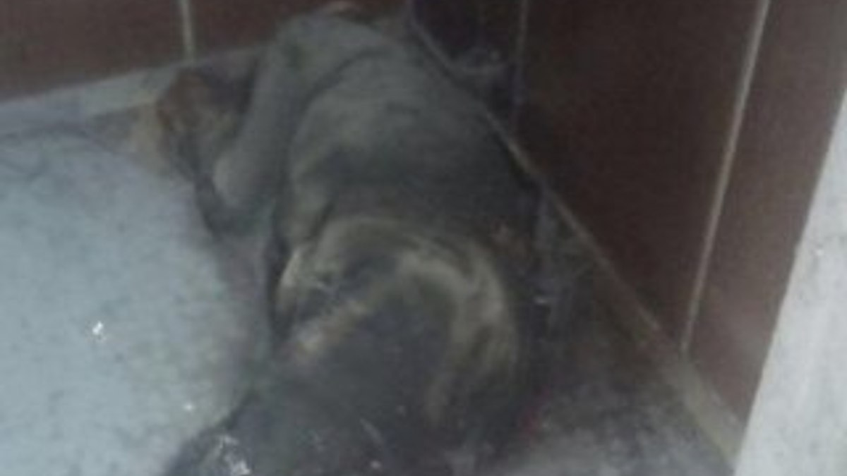 İzmir'de kullanılmayan asansörde çürümüş ceset bulundu