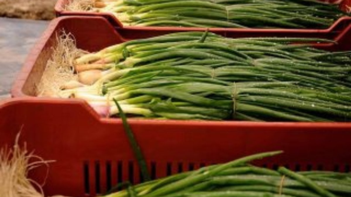 Kasım ayında en çok yeşil soğanın fiyatı arttı