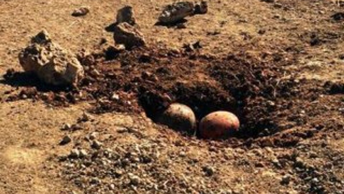 PKK futbol ve voleybol topuna bomba yerleştirdi