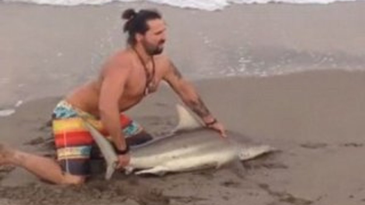Fotoğraf çekmek için köpek balığını denizden çıkardı