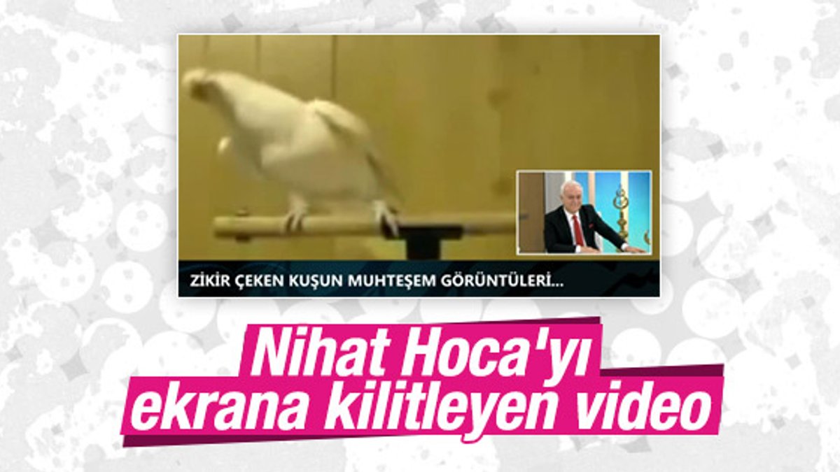 Zikir çeken kuş Nihat Hatipoğlu'nu ekrana kilitledi VİDEO