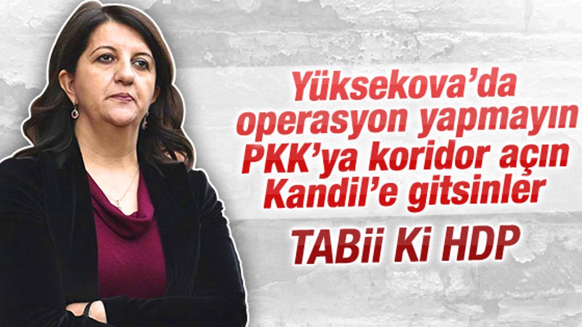 HDP'li vekillerin Yüksekova planı ortaya çıktı
