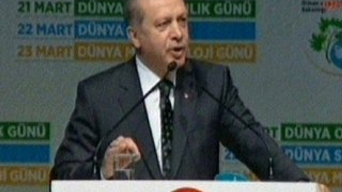 Erdoğan Türkiye Çınar Yılı etkinliğinde konuştu