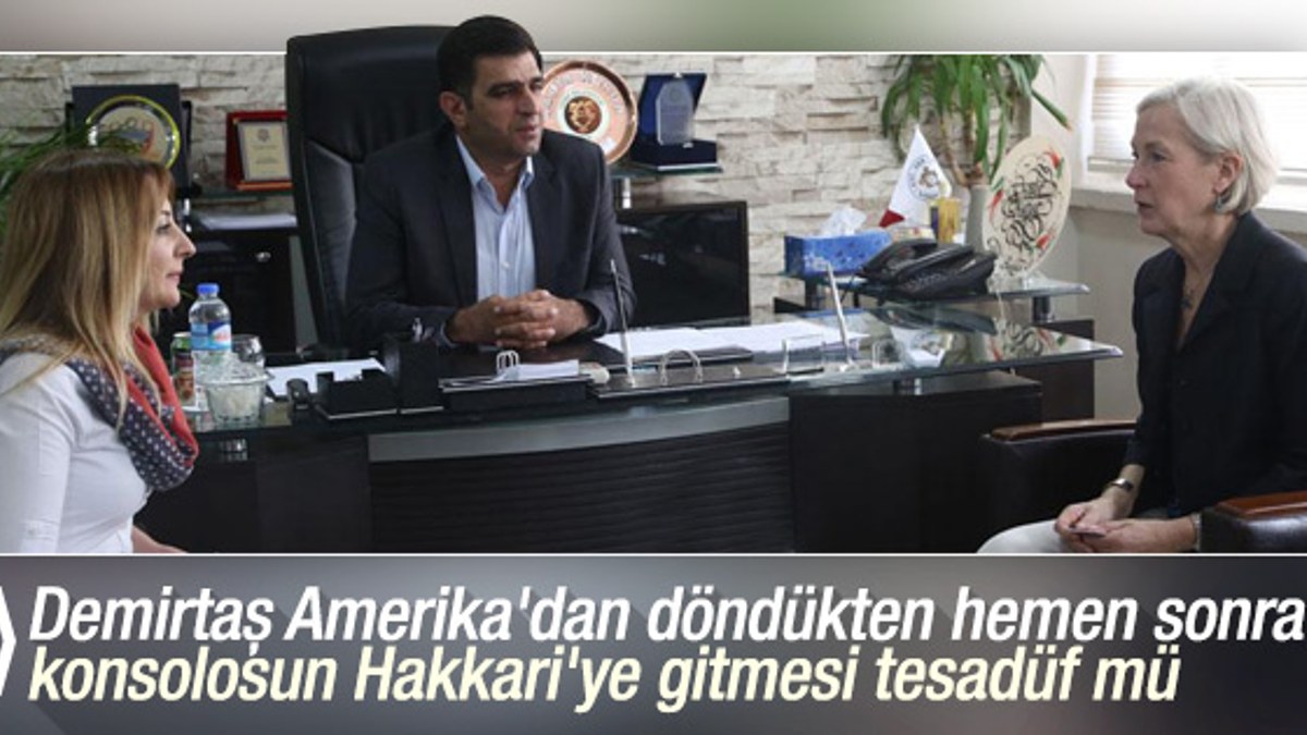 ABD konsolosu Hakkari'de HDP'liler ile görüştü