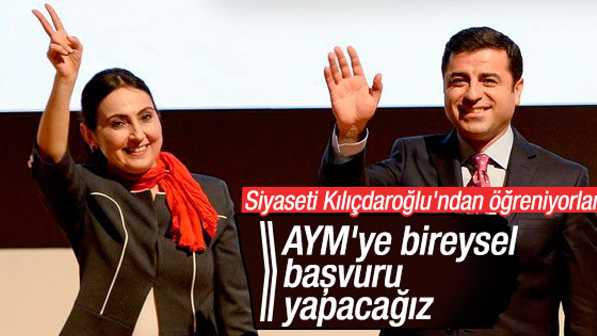 HDP'liler AYM'ye bireysel başvuruda bulunacak