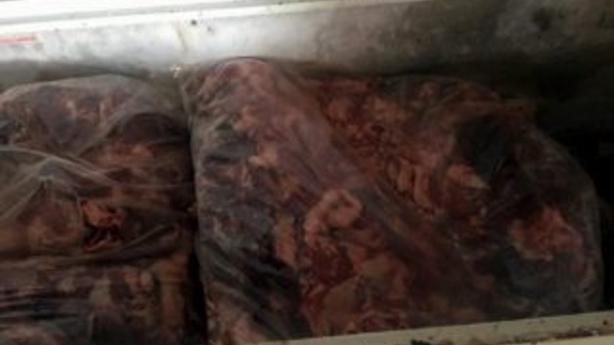 Aydın'da 5 ton domuz eti ele geçirildi
