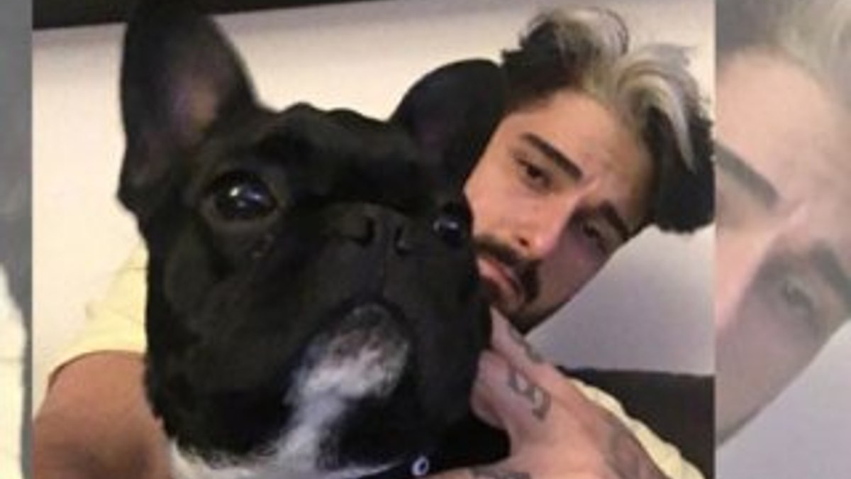 İdo Tatlıses köpeği Osman’la selfie çekti