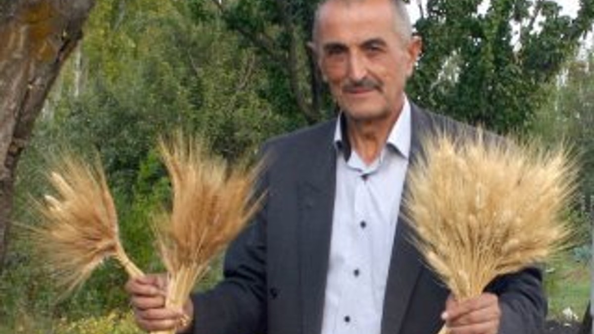 Sivaslı prof 5 bin yıllık yerli tohum buldu