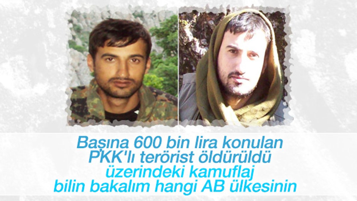 Tunceli'de başına 600 bin lira konulan terörist öldürüldü