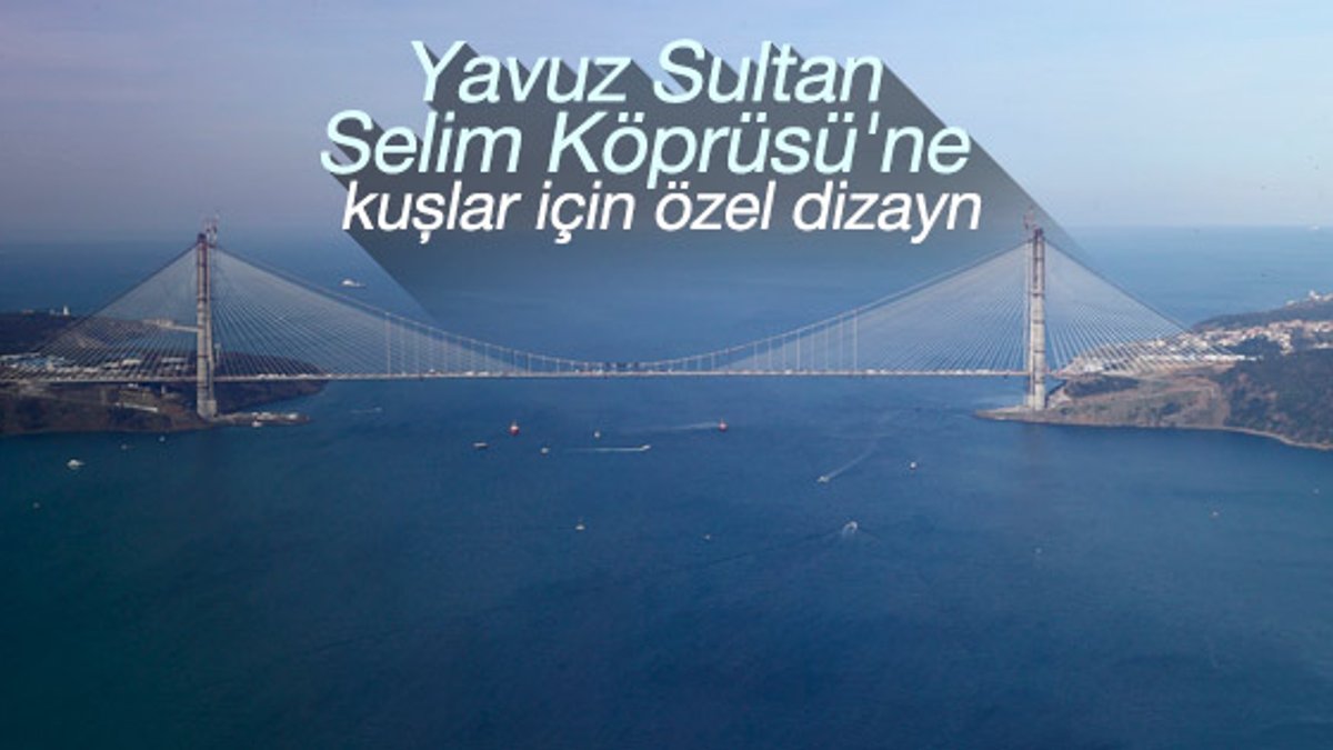 Yavuz Sultan Selim Köprüsü'de kuş göçüne özel çalışma