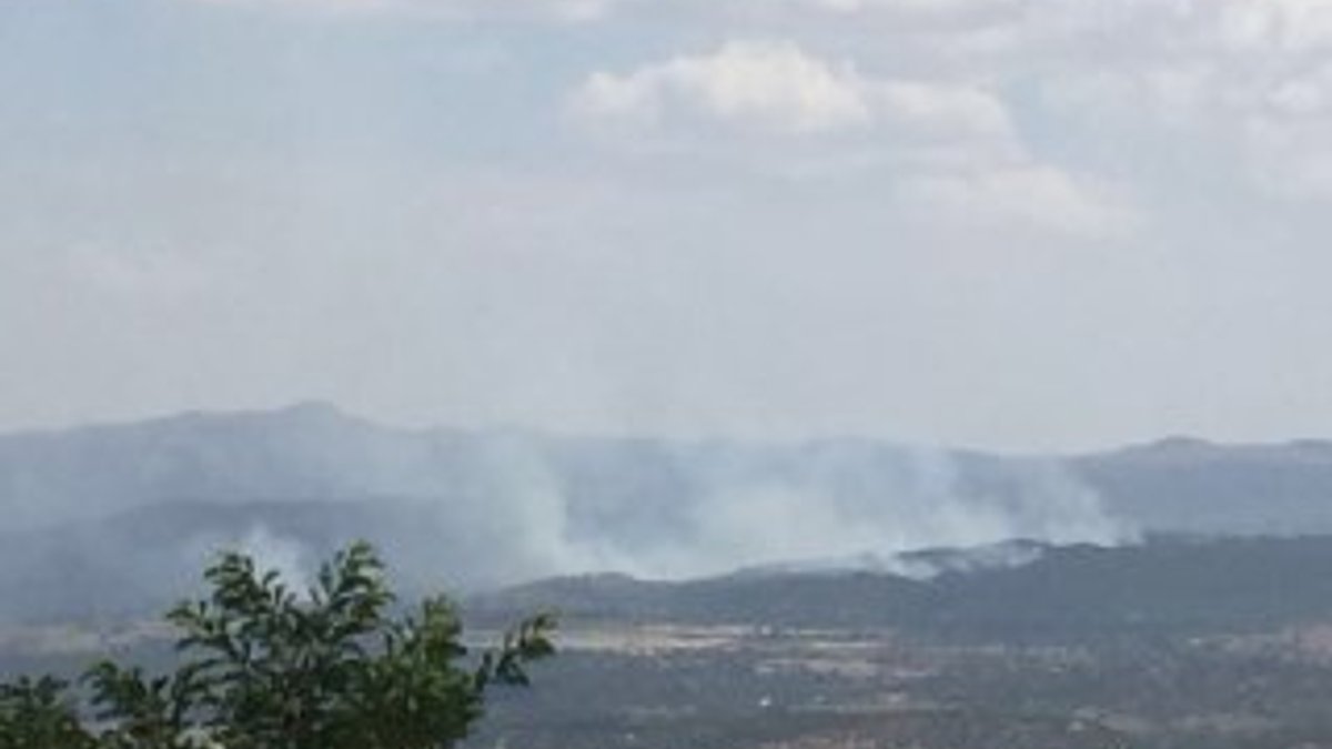 Diyarbakır'da köşeye sıkışan PKK'lılar ormanı ateşe verdi