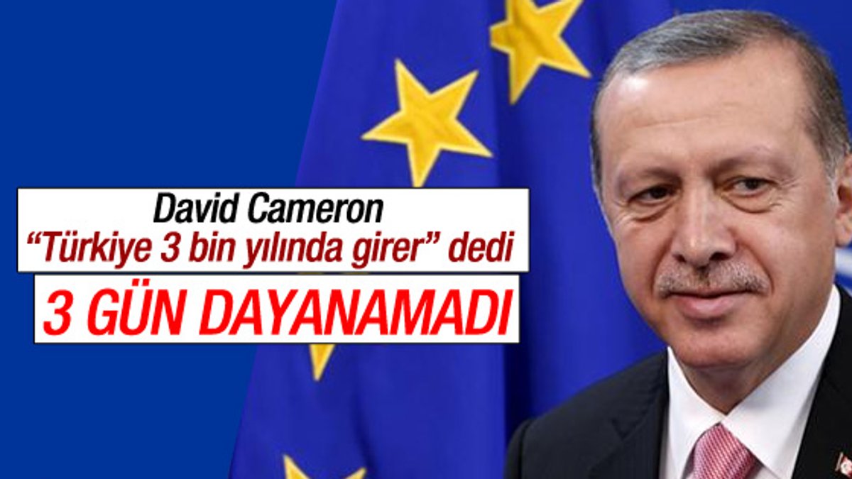 Cumhurbaşkanı Erdoğan: David Cameron 3 gün dayanamadı