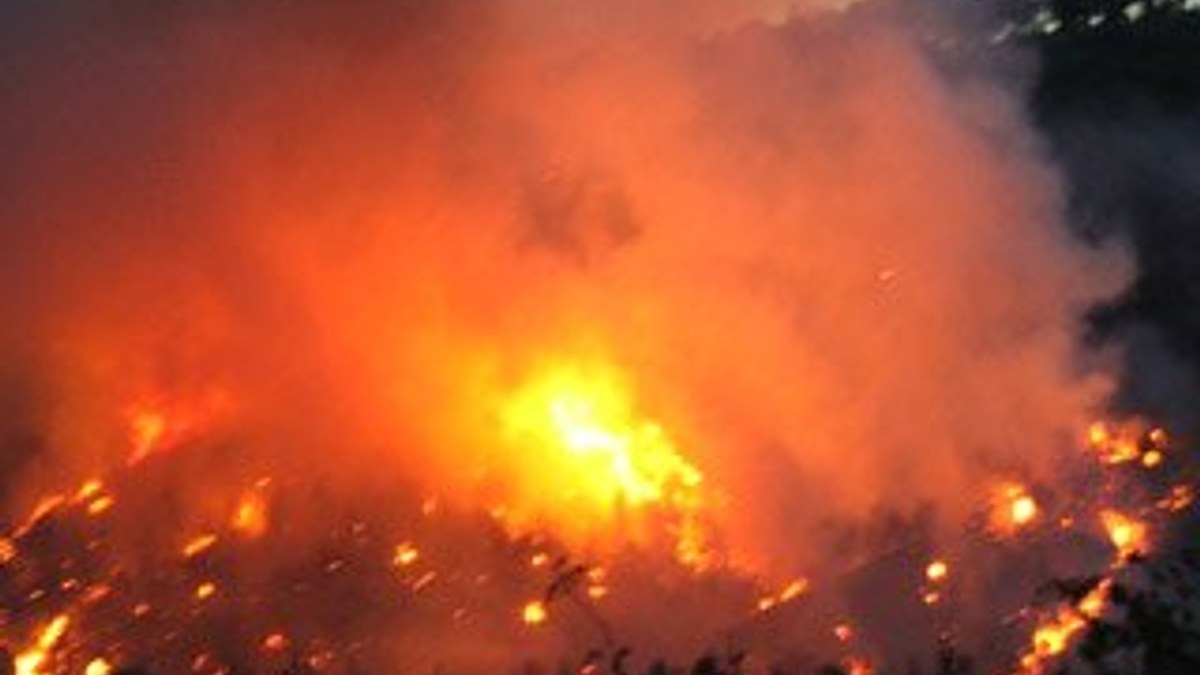 Edirne’de orman yangını