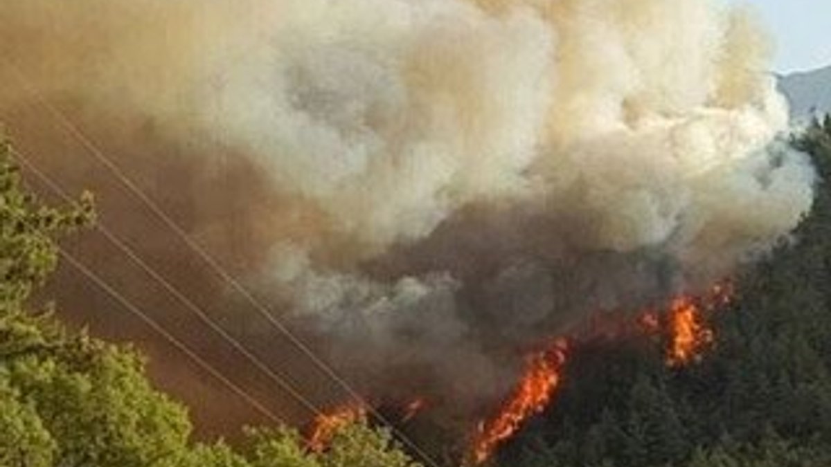 Kumluca yangınını Lice'de gösteren HDP özür diledi