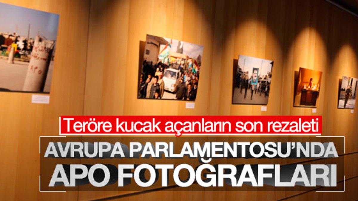 Avrupa Parlamentosu'nda PKK sergisi