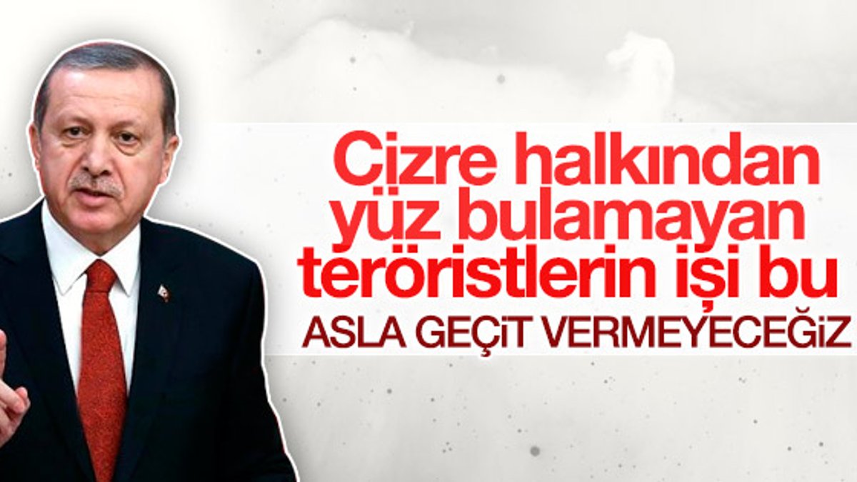 Erdoğan'dan Cizre saldırısına tepki