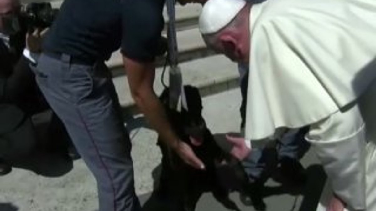Papa kurtarma çalışmalarına katılan köpeği kutsadı