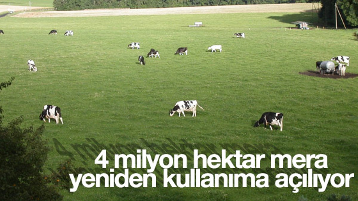 4 milyon hektar mera yeniden kullanıma açılıyor