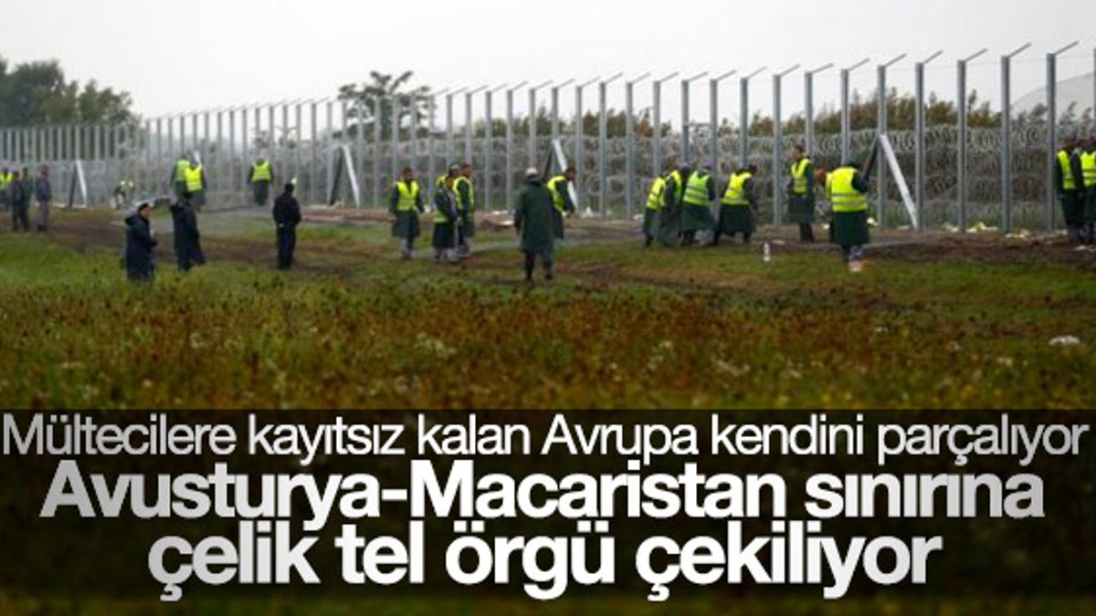 Avusturya Macaristan sınırına tel örgü çekecek
